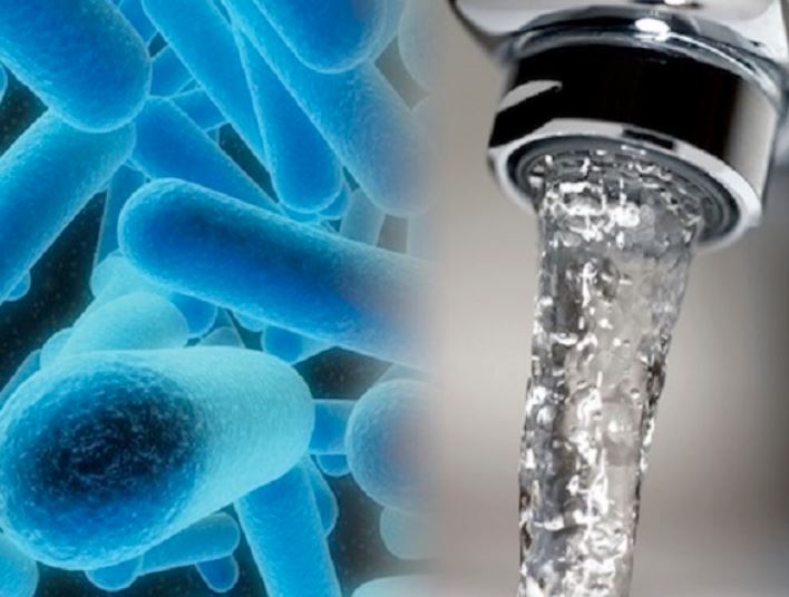 Covid-19 e Legionellosi: come la pandemia virale aumenta il rischio Legionella